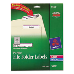 Permanent Filing Labels, 1/3 Cut, 750/PK, Purple