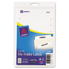 Removable Filing Labels, Laser/Inkjet, 1/3 Cut, 252/PK, WE