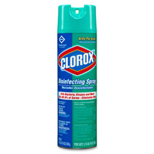 CLEANER,DSNFCTNTSPRY,19OZ
